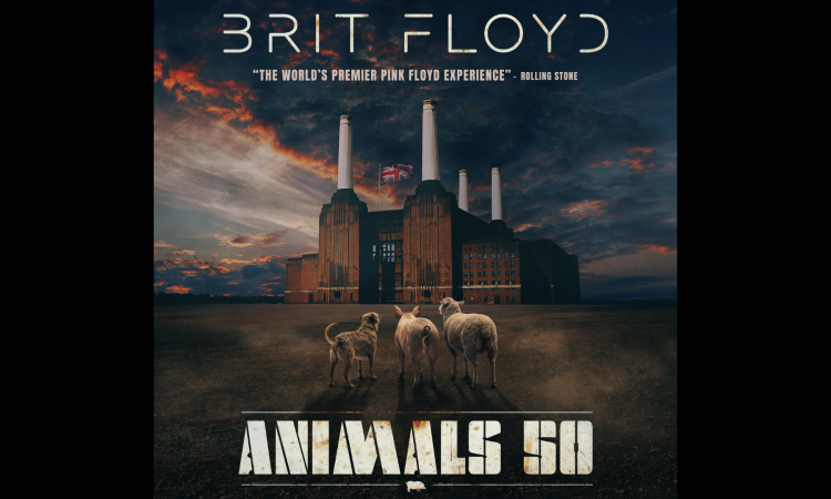 Brit Floyd – Animals 50 – World tour 2027